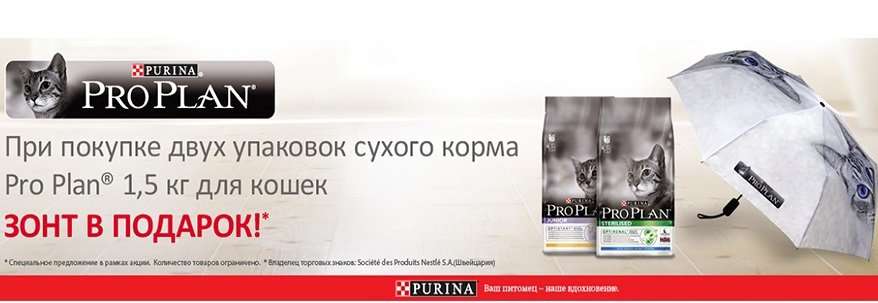 Про план афоризмы